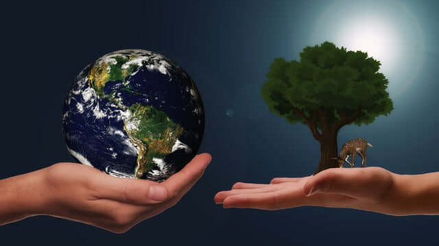 Wood as an Eco-Friendly Material: Caring for Our Planet by Choosing Wooden Products